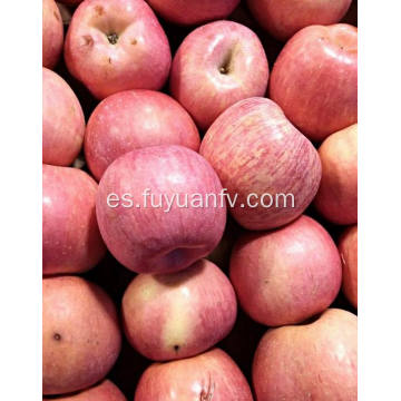 Ronda fresca barata manzana Qinguan